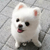 ?；冒?></a></div>
	<div   id=
